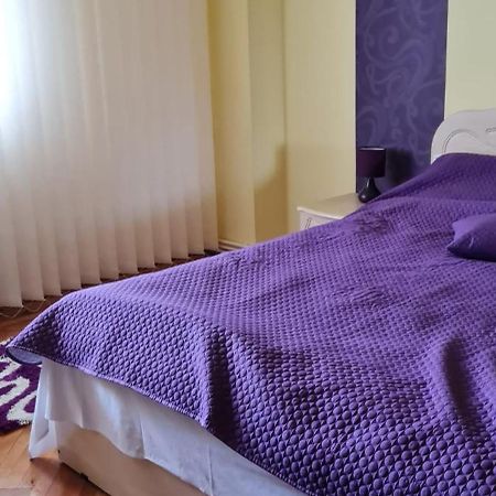Apartament Cu 2 Camere Spatioase In Centrul Orasului - Andrei Brăila Eksteriør billede