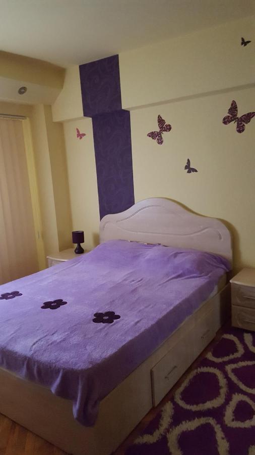 Apartament Cu 2 Camere Spatioase In Centrul Orasului - Andrei Brăila Eksteriør billede